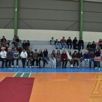 ZAP_2985