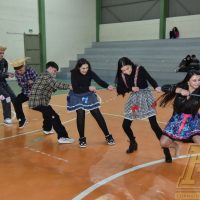 ZAP_3074
