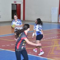 ZAP_7731