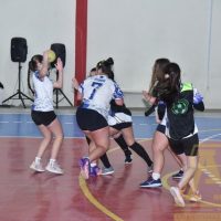 ZAP_7768