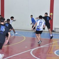 ZAP_7930