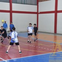 ZAP_7952