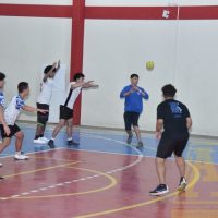 ZAP_7966