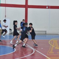 ZAP_7987