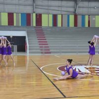 ZAP_2195