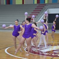 ZAP_2196