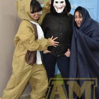 ZAP_8959