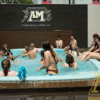 AM_21494