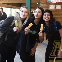 IMG_1981