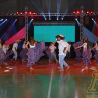 ZAP_2494