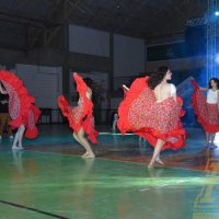 ZAP_2552