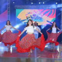 ZAP_2558