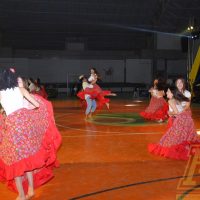 ZAP_2617