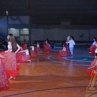 ZAP_2620
