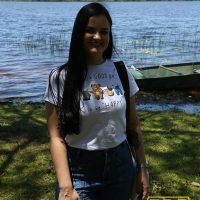 GUI_7343
