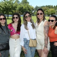 GUI_7372