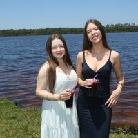 GUI_7384