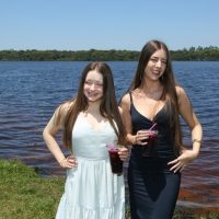 GUI_7387