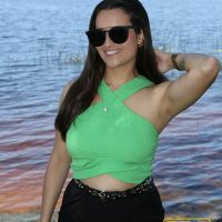 GUI_7419
