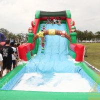IMG_8548