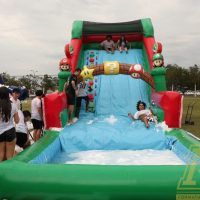 IMG_8591