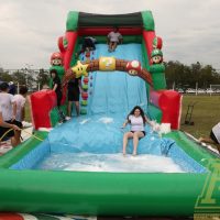IMG_8595