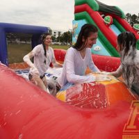 IMG_8624