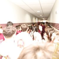 IMG_9726