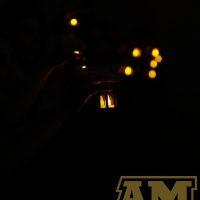 _MG_0469