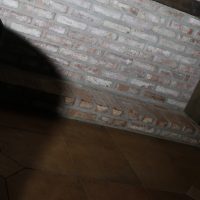 _MG_5395