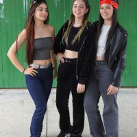 ZAP_6817