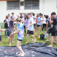 ZAP_8950
