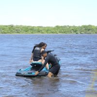 AM_20436