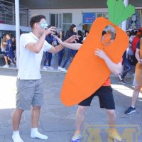 ZAP_3976