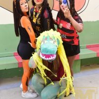ZAP_0795