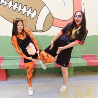 ZAP_0827