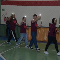 ZAP_6446