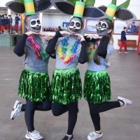 ZAP_1085